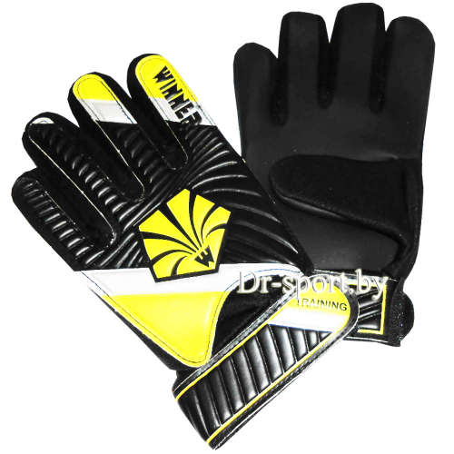 Перчатки вратарские Winner Training 10